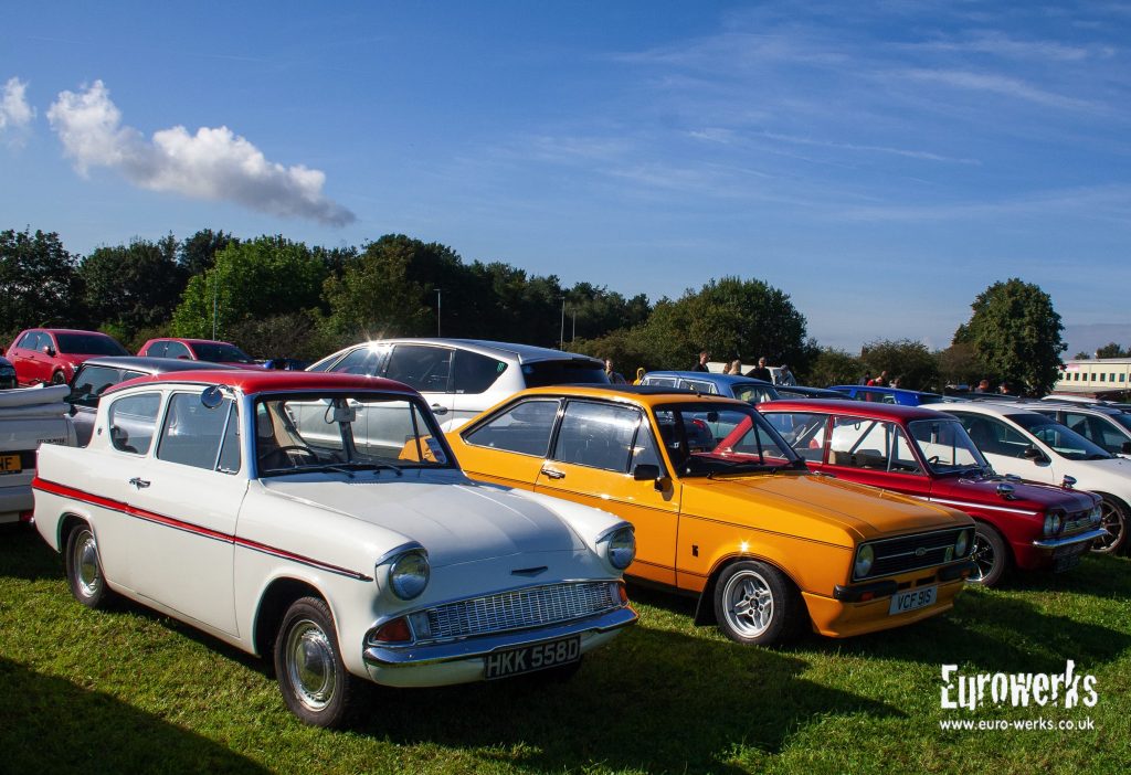 Fords at Cars and Coffee